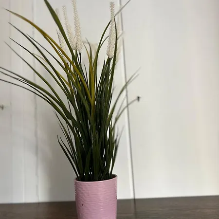 Marszalkowska 아파트 *